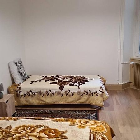 Grand 4P Strasbourg Orangerie 7 Personnes Proche D Allemagne Luaran gambar