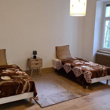 Grand 4P Strasbourg Orangerie 7 Personnes Proche D Allemagne Luaran gambar