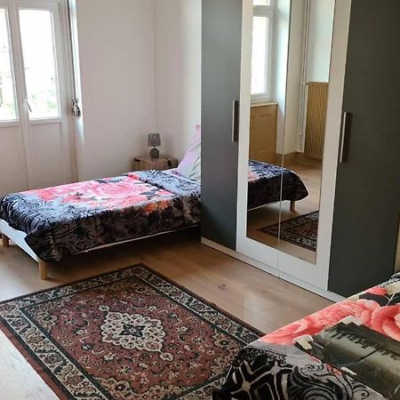 Grand 4P Strasbourg Orangerie 7 Personnes Proche D Allemagne Luaran gambar