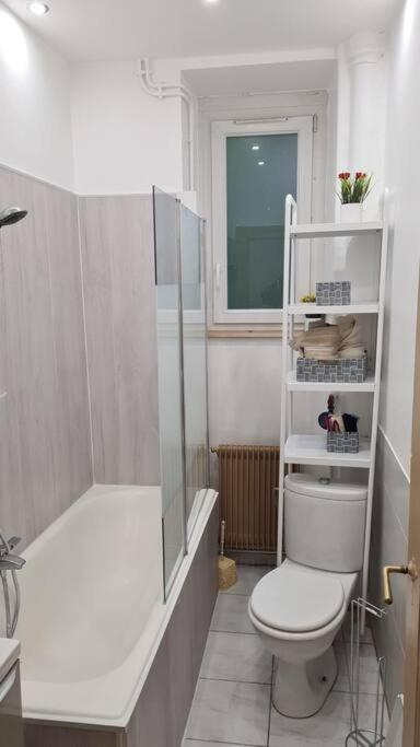 Grand 4P Strasbourg Orangerie 7 Personnes Proche D Allemagne Luaran gambar